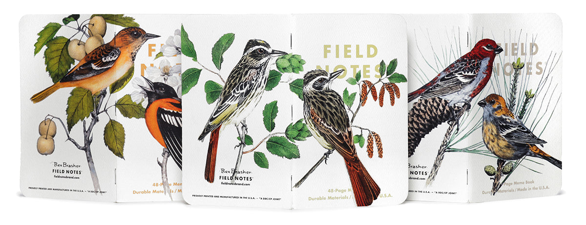 Field Notes: 3-Packs Birds and Trees of North America - Image 3