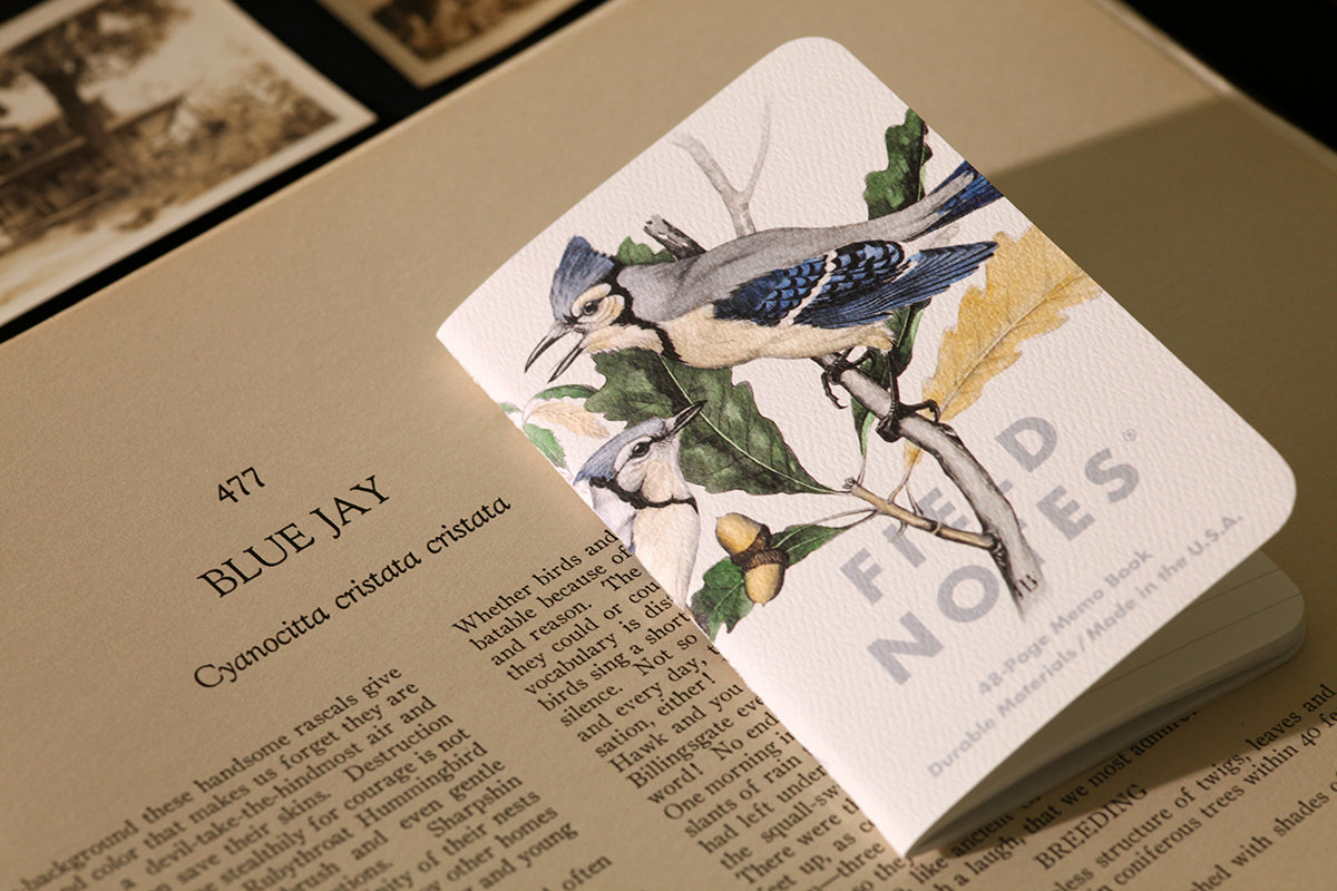 Field Notes: 3-Packs Birds and Trees of North America - Image 4