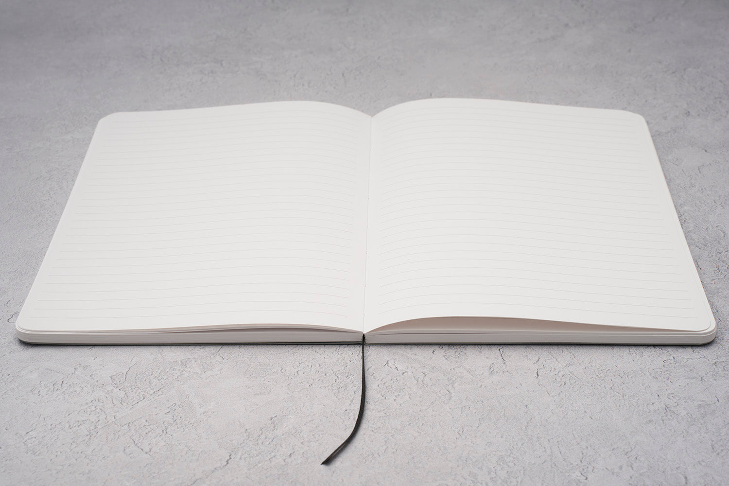 Dandelaid Softcover Notebook - Image 5