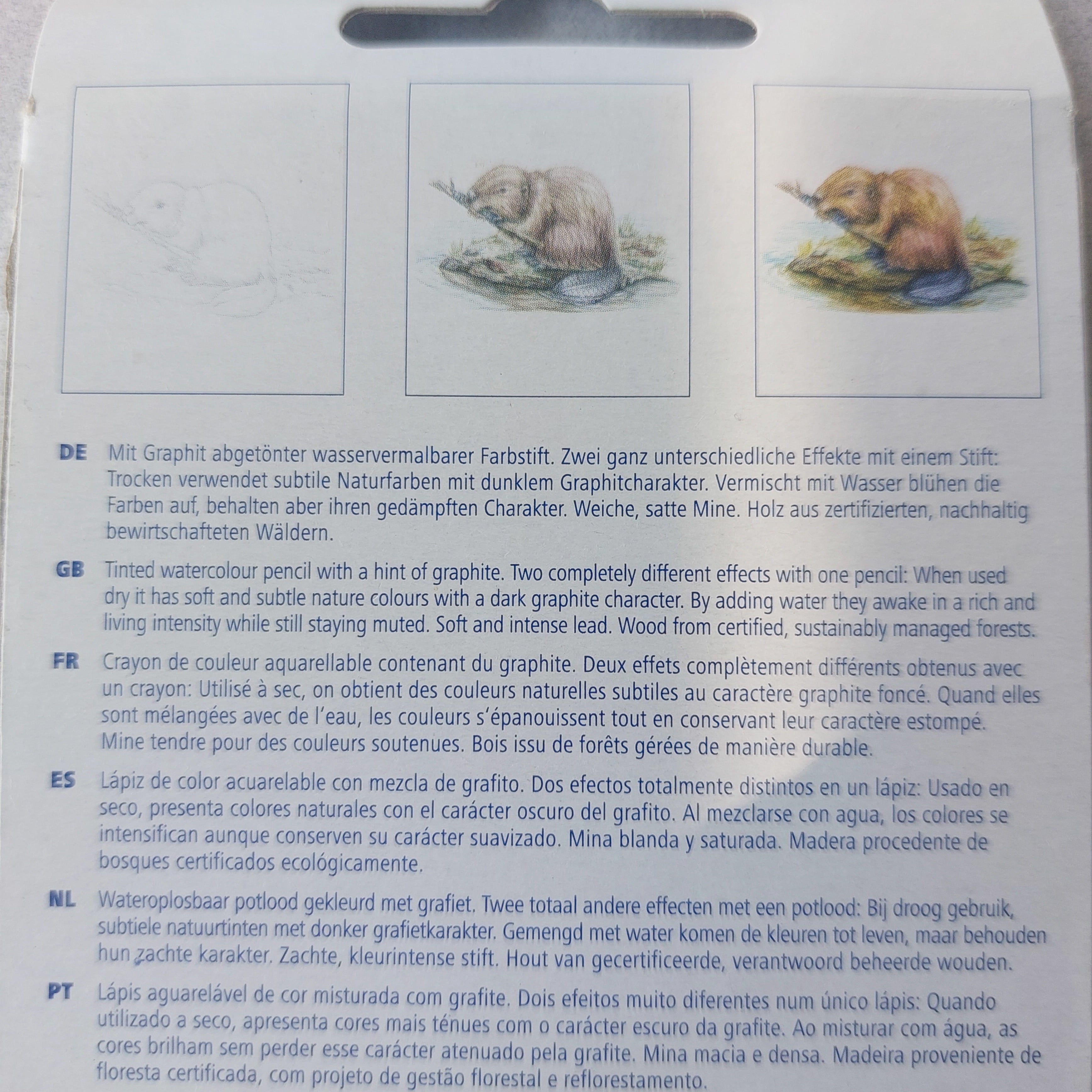 Staedtler Tinted Water Color Pencils (12 pcs set) - Image 4