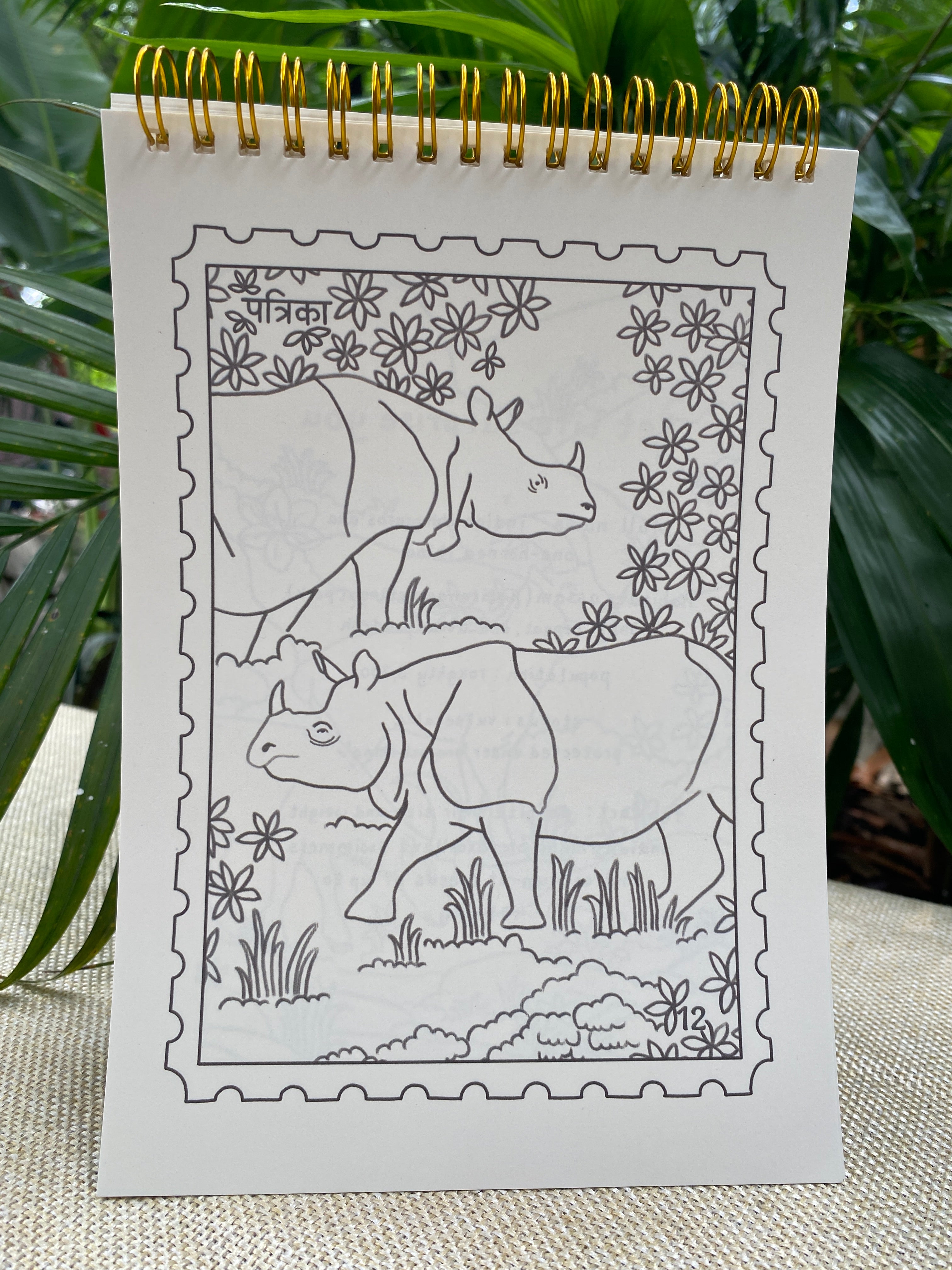 'echoes of the wild' mindful colouring book