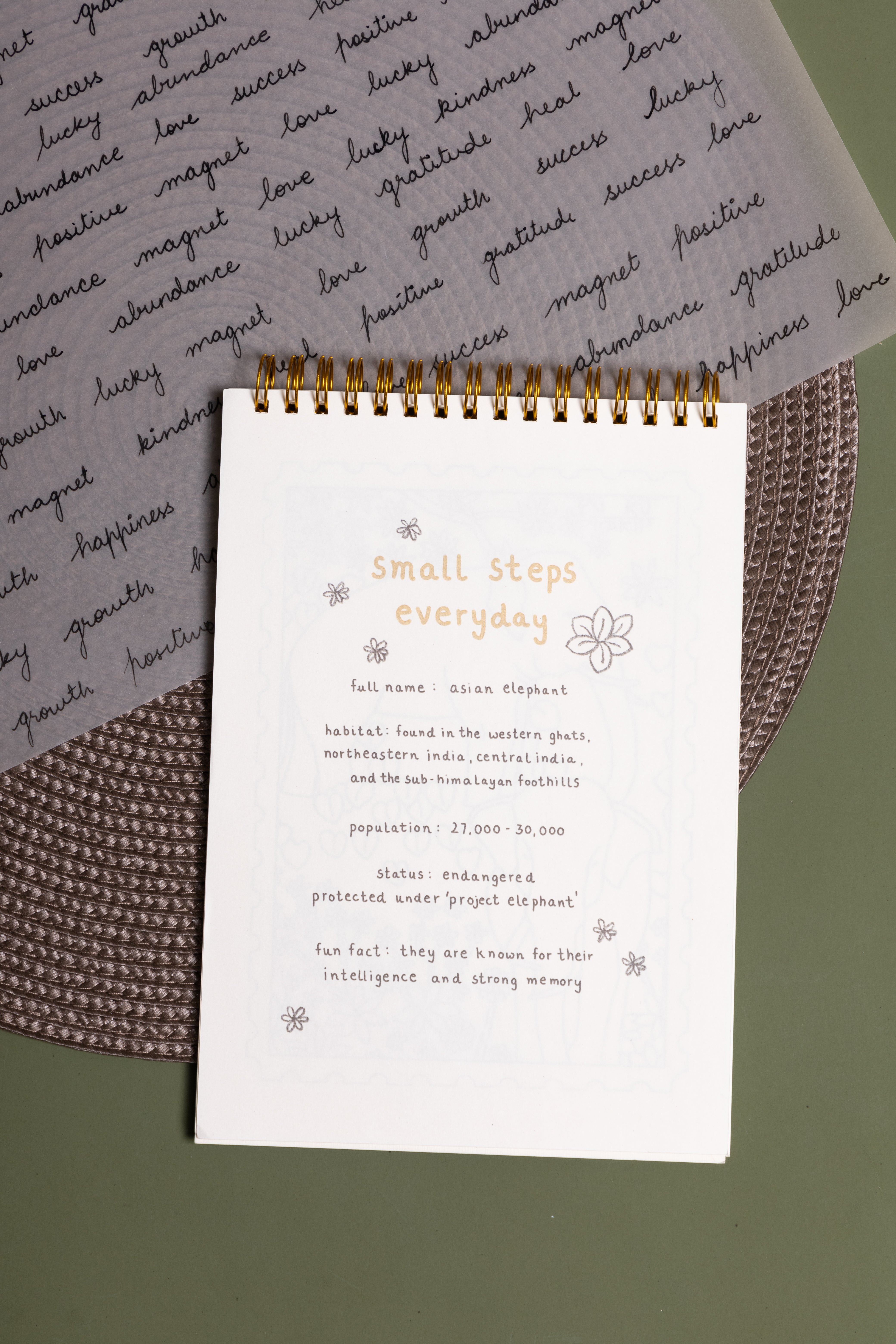 'echoes of the wild' mindful colouring book - Image 5