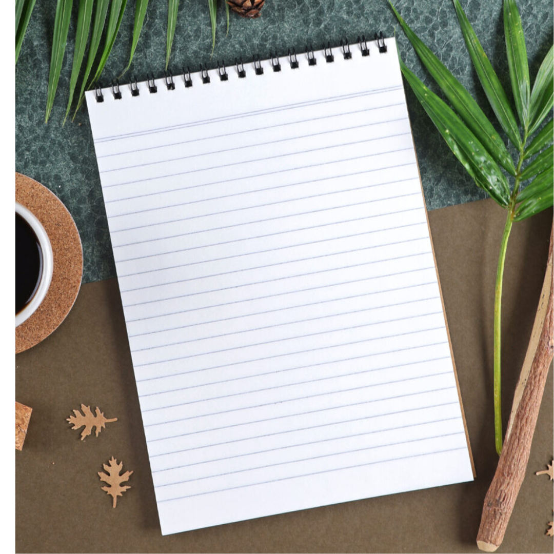 Scholar A5 Paryavaran Ruled Spiral Pad (Pack of 8) - Image 2