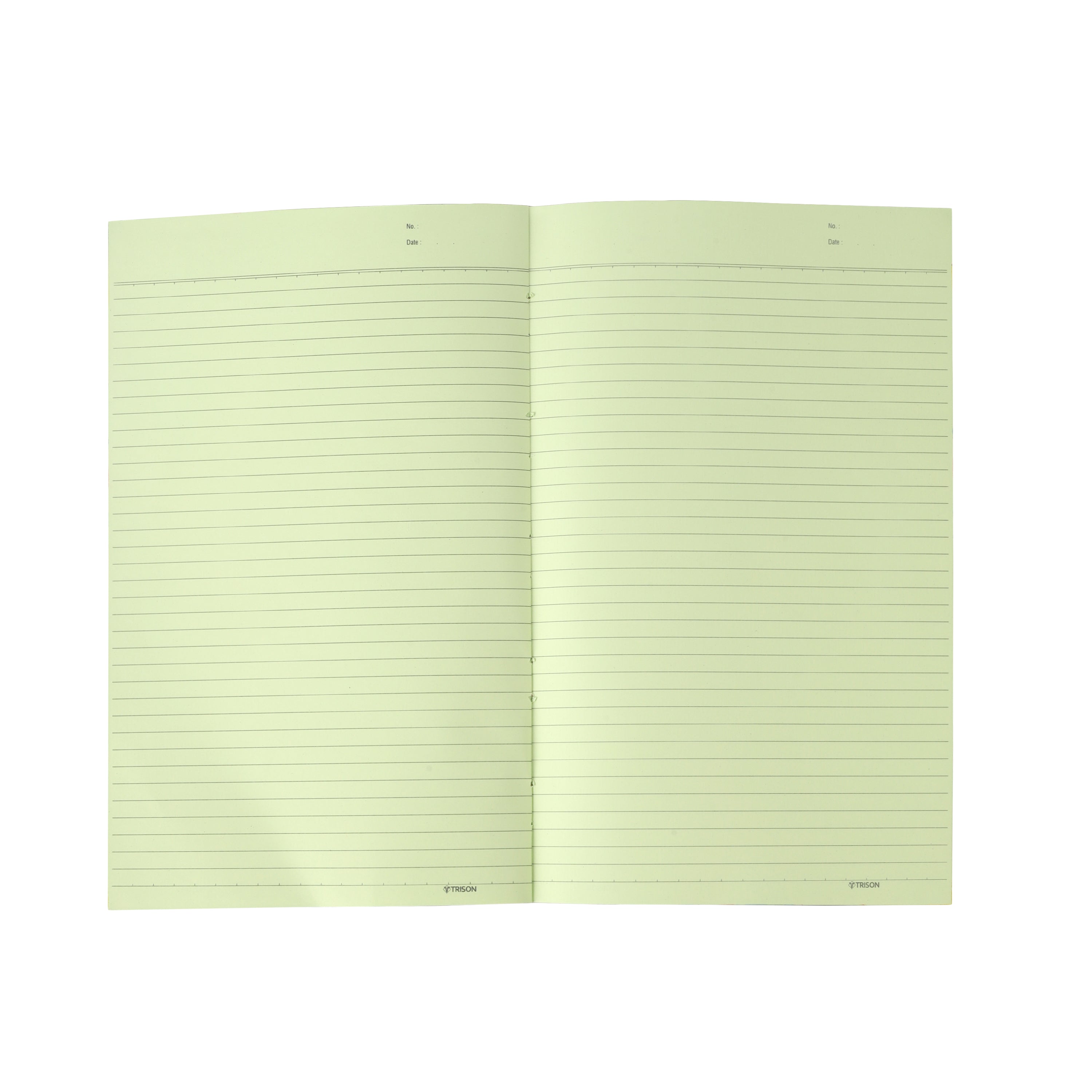 Ruled Register (Full Canvas Binding) - Image 3